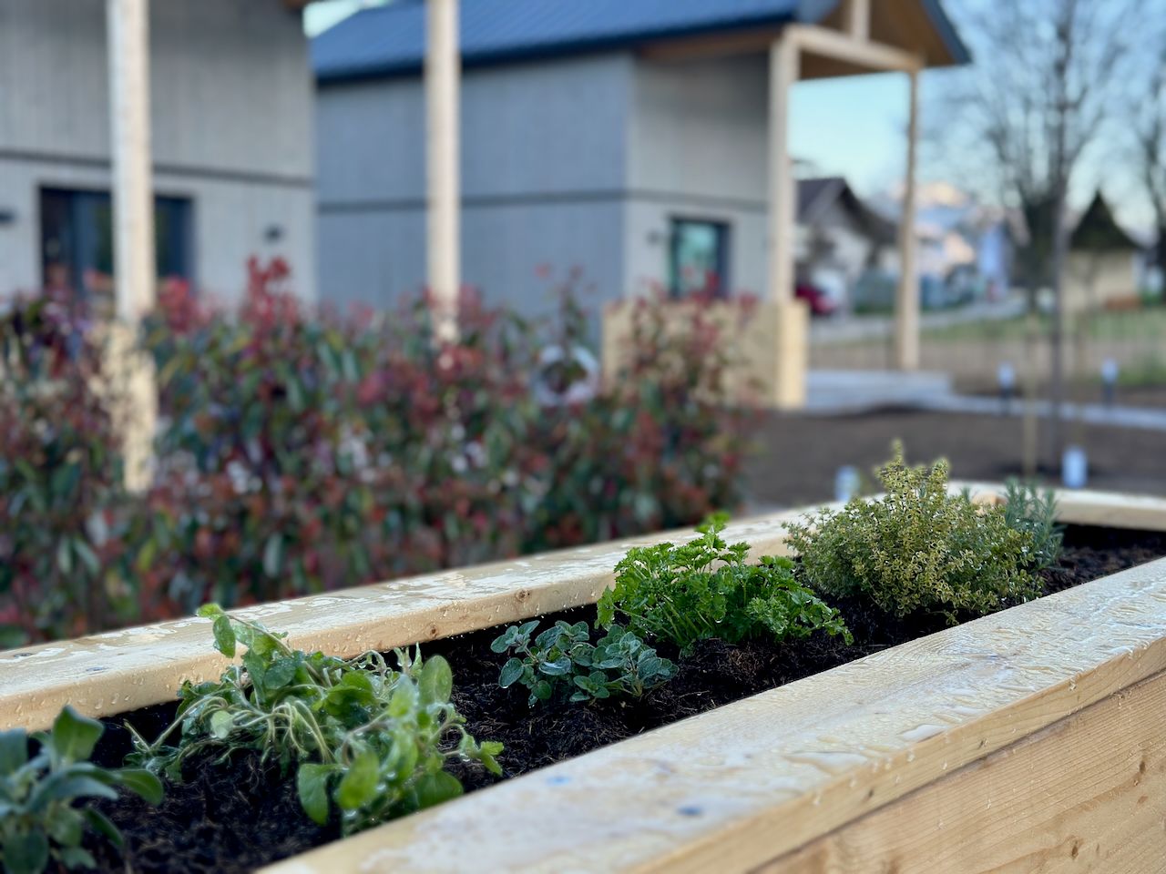 Gartengestaltung