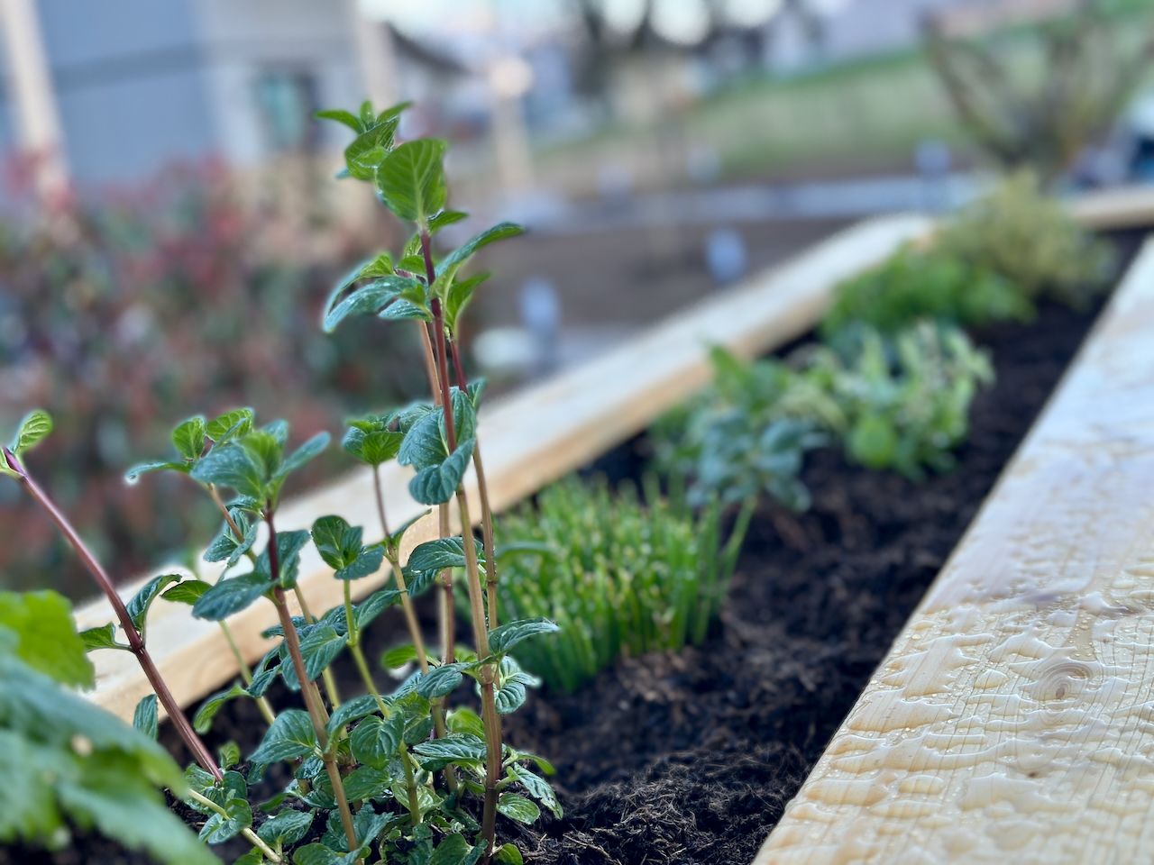 Gartengestaltung